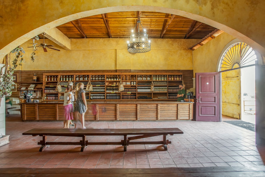 inside Orealios Gaea entrance with an arcade on top of the door and reception with tourists